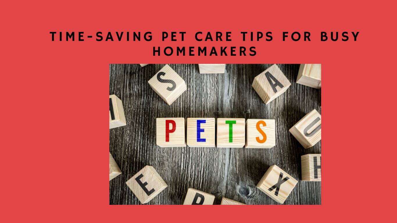 Tips to Save Time while Caring for Pets