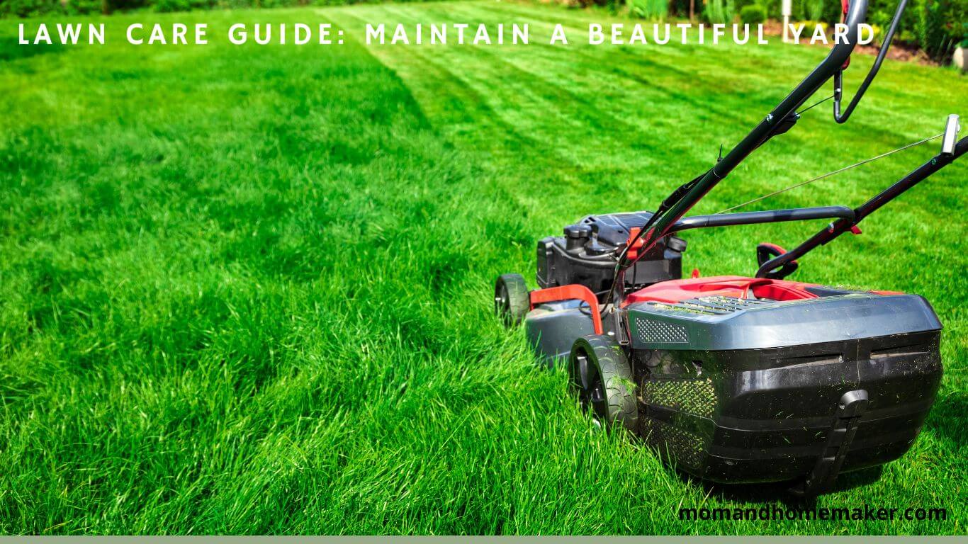 Guide to Beautiful Lawns: Lawn Care Essentials