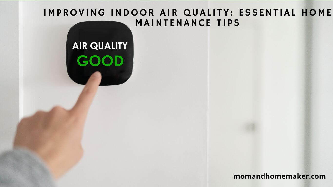 Vital Tips for Better Indoor Air Quality