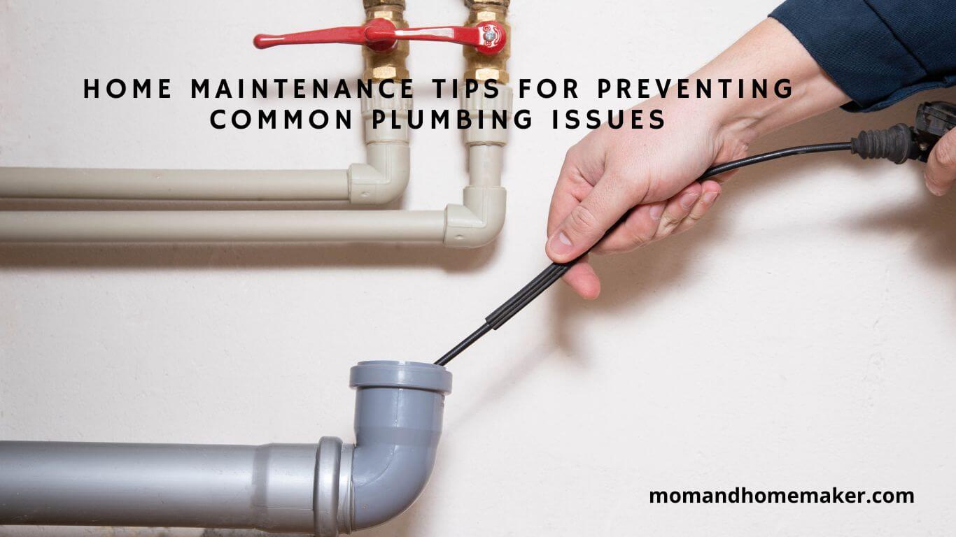 Prevent Common Plumbing Issues with Home Care Tips