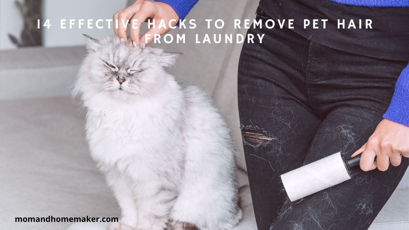 Effective 14 Hacks to Remove Pet Hair From Laundry