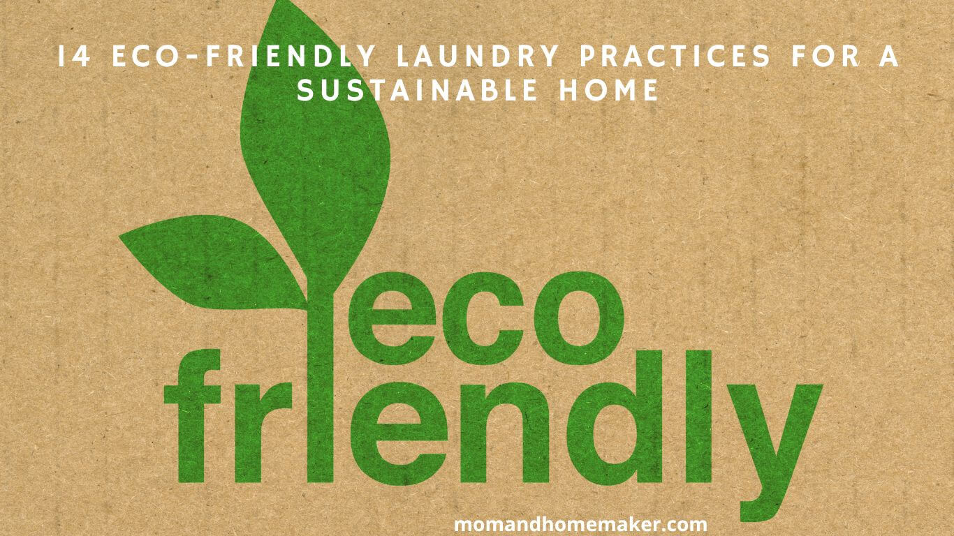 Sustainable Laundry Practices for an Eco friendly Home