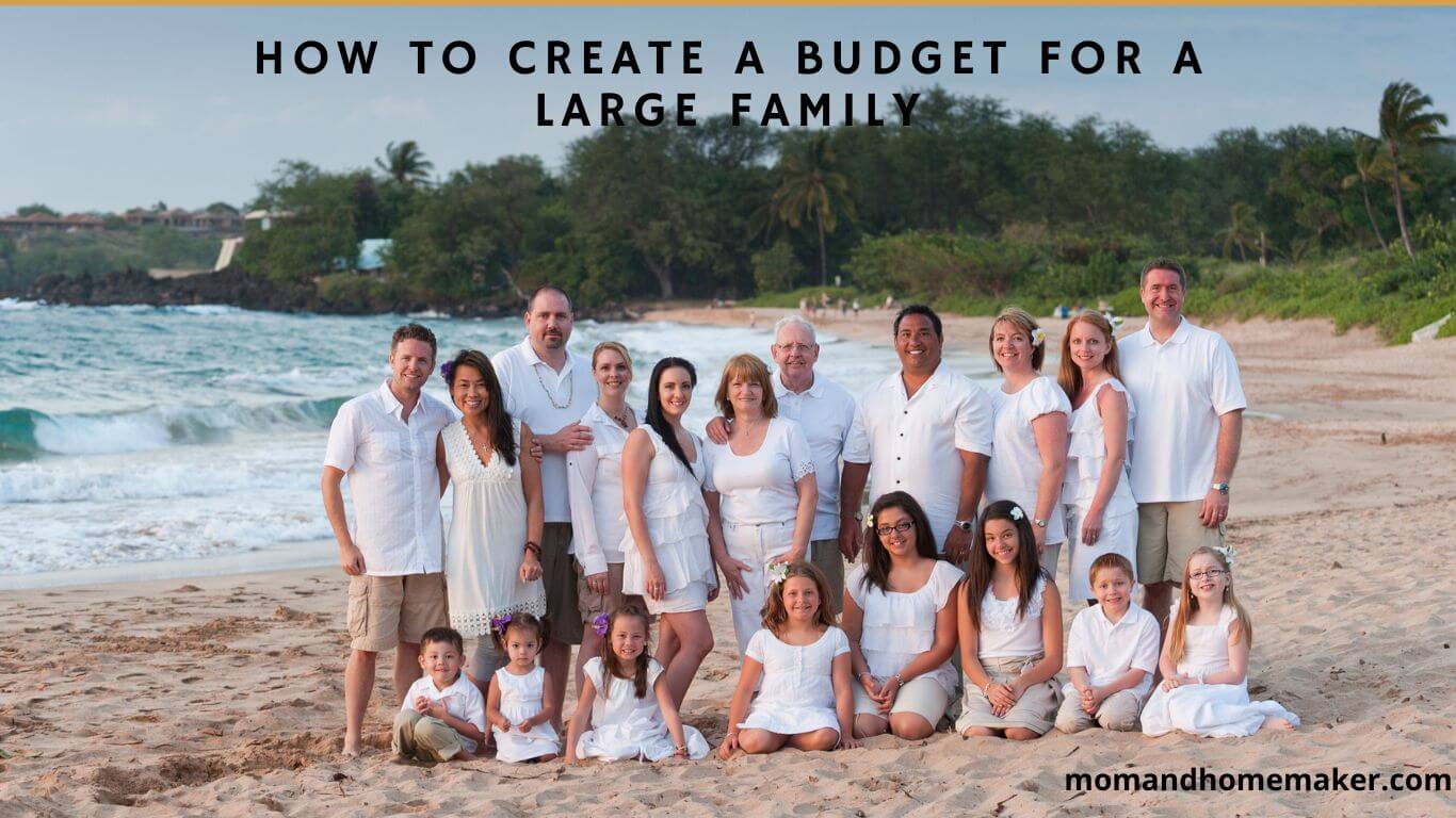 Creating a Budget for a Large Family