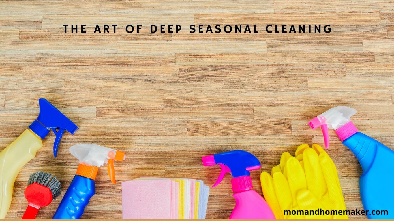 Deep Seasonal Cleaning