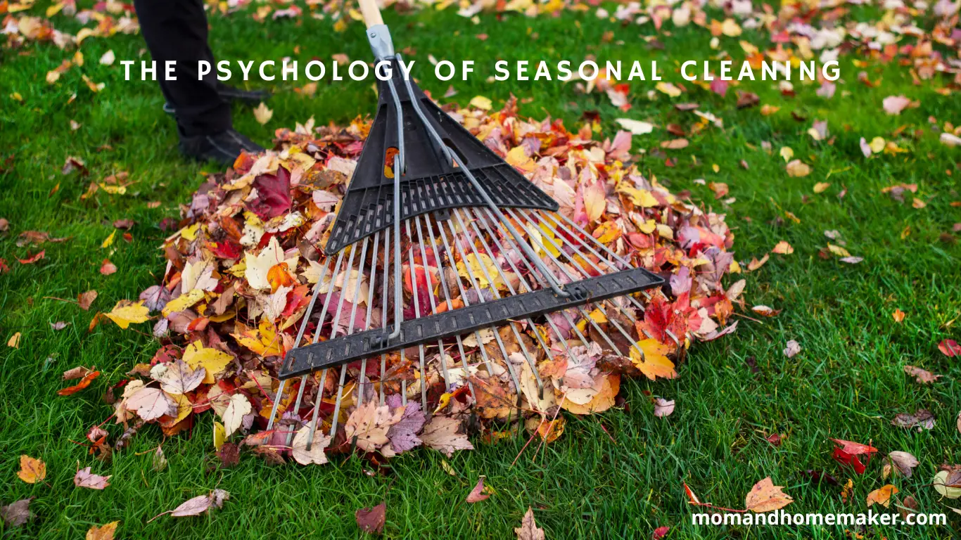understanding the motivation behind seasonal cleaning